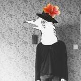 Black birds music