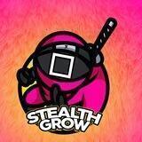 StealthGrow - Pure Stealth Launch