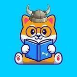 BABY BOOK FLOKI