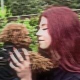 ꜰɪɢᴜʀᴇsᴛɪx