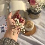 جــیــهــانــی وێــنــە 🖼