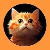 $MEOW