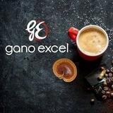 Gano Excel Andijan