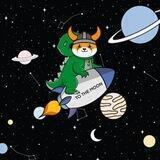SpaceFlokiZilla