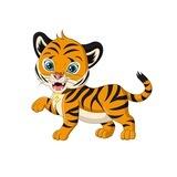 BNB Tigress Ecosystem