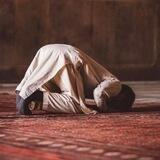 سـيسـتجيـب 🌻.