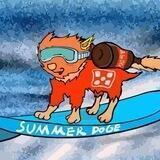 Summerdoge中文交流群