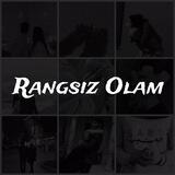 Rangsiz Rasmlar 🖤