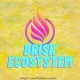 Brisk Ecosystem Portal