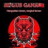 SIRIUS ATRIBUT
