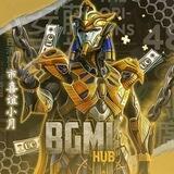 🇮🇳 BGMI HUB 🇮🇳