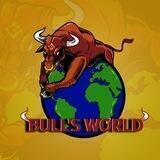 Bull's World Portal