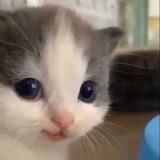 УТЮТЮ БЛЯТЬ)