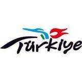 Turkiyada ish