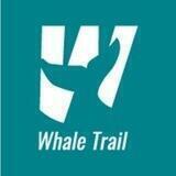 Whale Trail 41