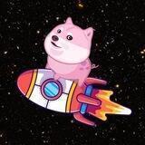 Baby Pige Inu