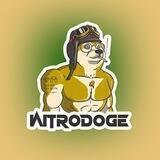 Nitro Doge