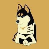 Alpha Inu Community