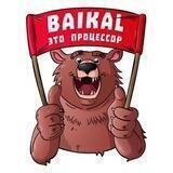 Флудилка Baikal Electronics