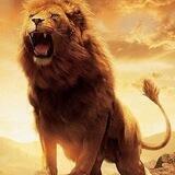 Legend calls🦁