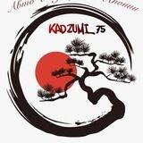 Авто из Японии🇯🇵 KADZUMI_75