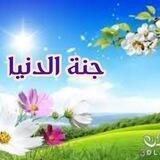 جنة الدنيا 🌹