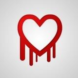 TeamBleed / Public
