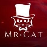 猫先生 博彩,彩票,体育,真人,电子,电竞,棋牌,五大联赛 世界杯 赛事推荐 AG BG PB OB 开元 开云 欧宝 亚博 天博 BOB 赌狗 BC 抖音 虎扑 菠菜、博彩、BC、高赔、低赔、高水、低水、收米、重注、梭哈、串关、过盘、卡盘、红单、盘口