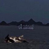 ذكر