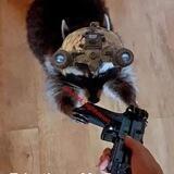 Guntime Funtime