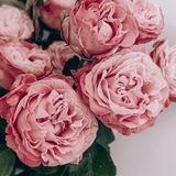 MaryKay.uz_beauty