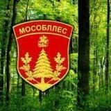 Ступинское лесничество
