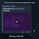 Bullypitband verify