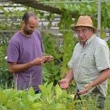 Garden Pàmies