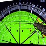 Insektenradar - Kanal