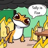 SALLY IS FINE - PORTAL
