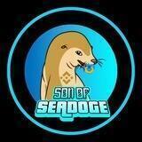 Son Of SeaDoge