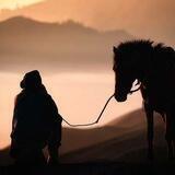 هِجْـرَة " 🍂