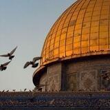 Hubb-ulquluub | حب القلوب