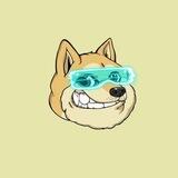 EverDogeChain中文群