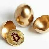 💰 БиткоИнкубатор 💰