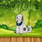 AKAMARU INU (PORTAL)