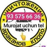 ZARAFSHON DEZENFEKSIYA