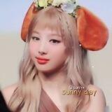 ୧☼ 𝘴𝘶𝘯𝘯𝘺 𝘥𝘢𝘺!¿