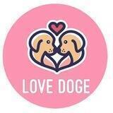 Portal Love Doge
