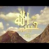 Allohning habibi Muhammad s.a.v.