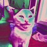 Лёд