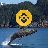 LavaNetwork