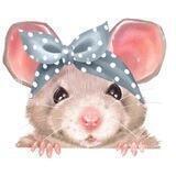 Baby Rat Boy