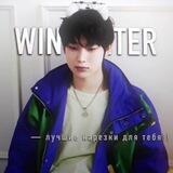 winsunter clips !!